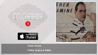 Cheb Amine Fidèle Toujours Fidèle 
