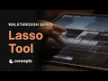 Walkthrough Series Lasso Tool
