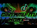 Download Lagu DJ - PARTY SENTAK🔥CINTAMU ITU HOAX🌴 VIRAL TIKTOK || Full Bass Gacor