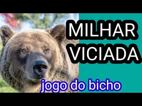 Download MP3 MILHAR VICIADA GRUPO 23 -  jogo do bicho