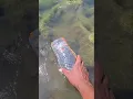 Download Lagu Perangkap ikan dari botol mudah untuk dapat ikan#fish