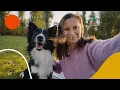 Finding Your Perfect Puppy on Puppies com