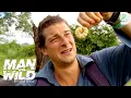 Download Lagu Bear Grylls’ Wildest Things Eaten | Man vs. Wild | Discovery