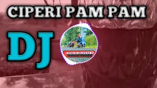 Download DJ PARTY CIPERI PAM PAM || REMIX FULL BASS TERBARU MP3