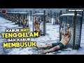 Lagu Pelarian NAPI JENIUS dari Penjara Paling SADIS di Dunia