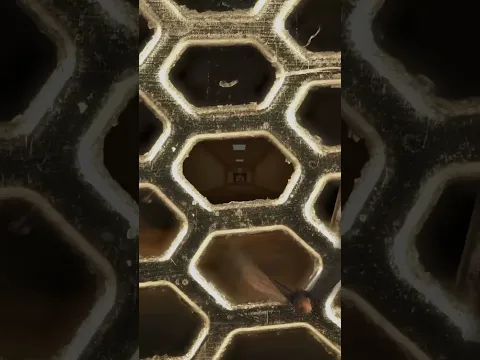 A loop through your fears!#loop #infiniteLoop #creepy #fear #phobia #macro #horror #backroom #zoom