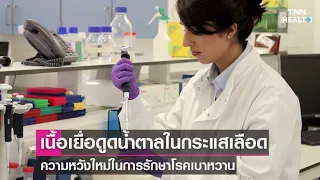  ทำไมผู้ป่วยเบาหวานประเภทที่ 2 ถึงมีระดับน้ำตาลในเลือดสูงเกินปกติ 