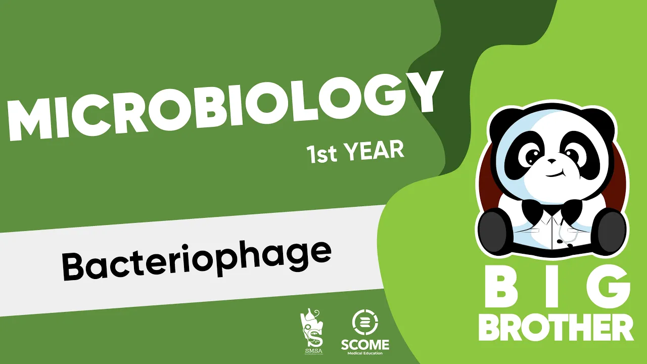 Bacteriophage