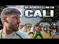Download Lagu LA BARRA MAS PELIGROSA DE COLOMBIA | Frente Radical Verdiblanco, Deportivo Cali