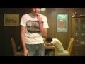 SUGAR SHOWDOWN - a sweet comedy