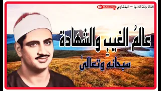 هو عالم الغيب والشهادة يا مثبت العقول يا الله سيدنا الشيخ محمد صديق المنشاوي سورة الحشر 