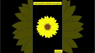 Draw beautiful sunflower with python turtle