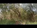 Download Lagu Bukit Maskumambang, Kediri. Bukit misterius, banyak kejadian bunuh diri di bukit Piramida ini 😱👻