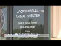 JACKSONVILLE ANIMAL SHELTER OPENS