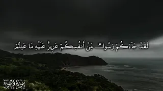 لقد جاءكم رسول من أنفسكم عزيز عليه ما عنتم  سورة التوبة مشاري العفاسي دندنها