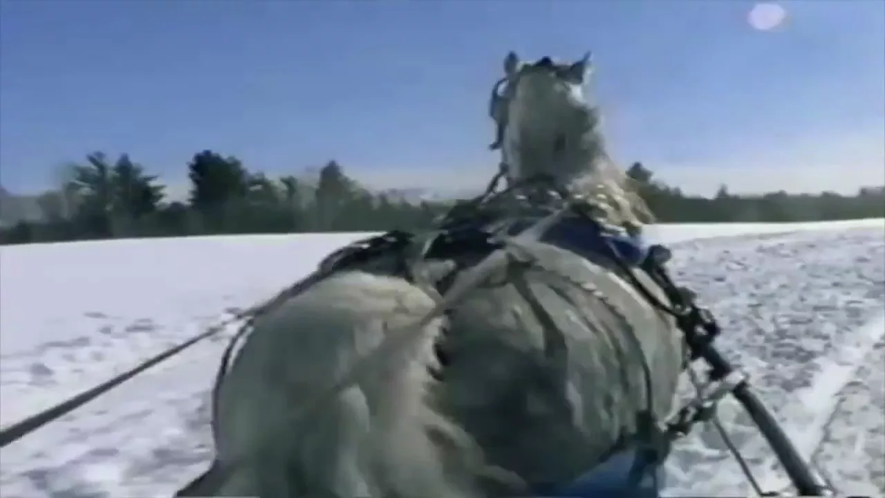 Sleigh Ride Arthur Fiedler & The Boston Pops Orchestra! Sleigh Ride Arthur Fiedler & The Boston Pops Orchestra!