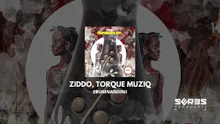 ziddo u0026 torque muziq ebumnandini original mix 