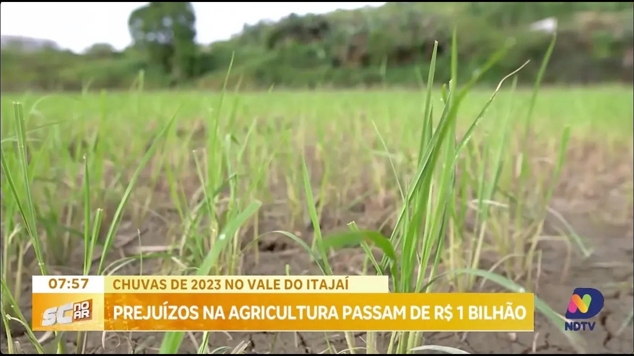 Chuvas de 2023 no Vale do Itajaí: prejuízos na agricultura passam de R$ 1 Bilhão