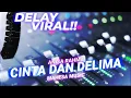 Lagu CINTA DAN DELIMA ANISA RAHMA MAHESA MUSIC | DELAY EFFECT ❗❗