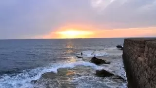 فيروز طلعلي البكي 