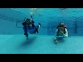 Sub-Gravity Paragon BCD