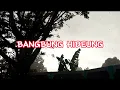 Lagu Lirik Bangbung Hideung - Rika Rafika