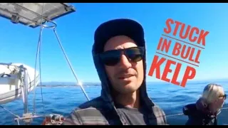 Sailing Half Moon Bay To Santa Cruz/San Simeon&Tour Hearst Castle Vlog#13