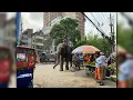 Purple Elephant - Pawan Krishna