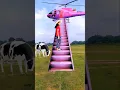 Download Lagu It's so convenient to travel by jet helicopter. My helicopter is here to drop #shorts