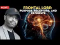 Temporal Lobe Purpose Receptors and Pathways