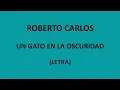 Roberto Carlos - Un gato en la oscuridad (Letra/Lyrics)