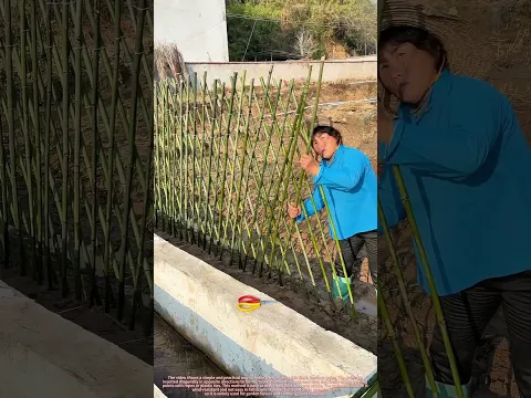 Simple And Practical Way To Make A Crossed Bamboo Fence