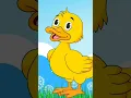 Lagu Potong Bebek Angsa ~ Animasi Bebek Lucu