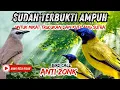 Download Lagu SUARA PIKAT TRUCUKAN RIBUT VS KUTILANG SUTRA SUPER AMPUH, 2024