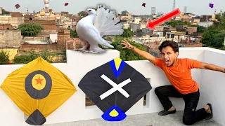 Village Flying 2 Kite Catch Umar Only One Kite & Win Kabooter 