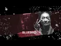 Sigala - We Got Love (Official Video) ft. Ella Henderson