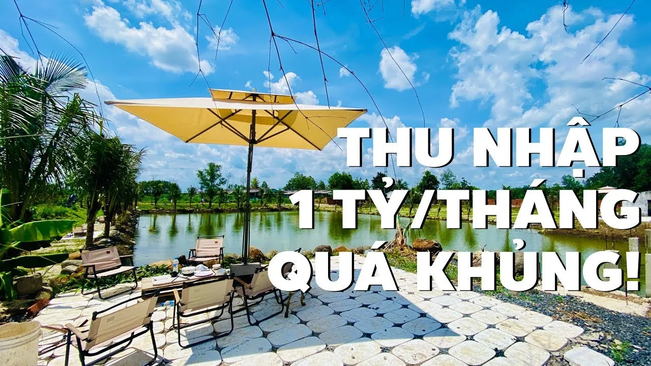 Outline Video Trang trại khủng ở Long Thành giảm sốc 10 tỷ và chủ sẽ thuê lại với giá 160tr/tháng