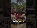 Download Lagu Toraja: A Farewell Like No Other #history #trendingshorts #uniquefacts