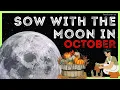 Lunar Calendar for Planting and Gardening in October How to Plant with the Moon in April 2025