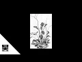 Download Lagu Monrroe - Ikebana EP (Continuous Mix)
