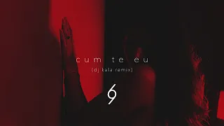 Leo de la Kuweit - Cum te eu (Dj Kala Remix)