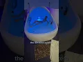 What happens if you fall asleep in a sensory deprivation tank