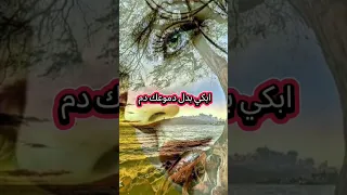 ندم العمر كله ابكي بدل دموعك دم ـمصطفى كامل ـ حالات واتس اب حالات واتس 