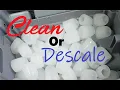 How To Clean Descale Portable Countertop Ice Maker Easy Simple