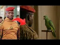 Download Lagu A parrot repeats French phrases — Traoré uncovers a code of Western spies! Coincidence or miracle?