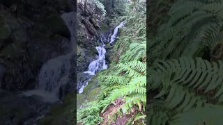 Cataract falls ca . #fyp #nature #doberman #pets #dream
