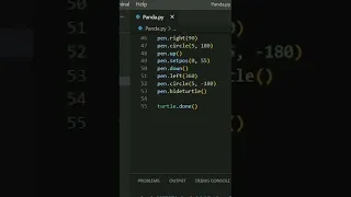 Draw a Panda using Turtle Python Python