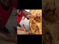 Download Lagu Searching Fish In River Dry Hole Undergrounds Hile Place #shorts