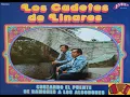 Download Lagu LOS CADETES DE LINARES OTRA TUMBA MAS