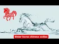 Water horse chinese zodiac Meaning Traits and the Power of the Wood Element